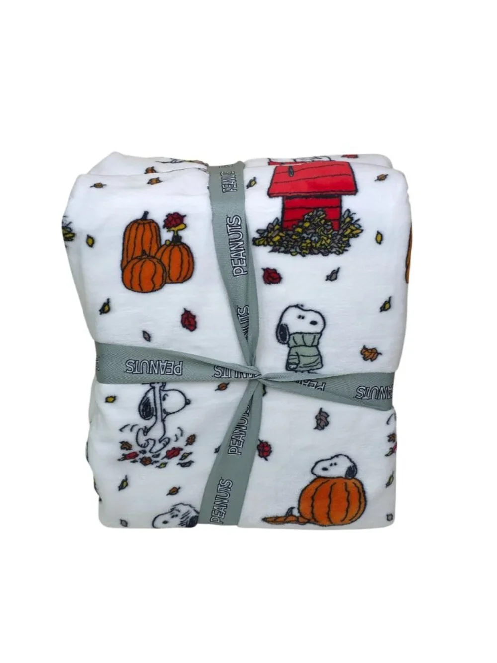 Peanuts Snoopy Velvetloft Plush Queen Blanket 90